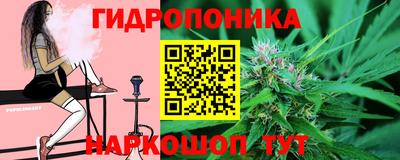 скорость Будённовск