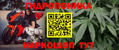 скорость Будённовск