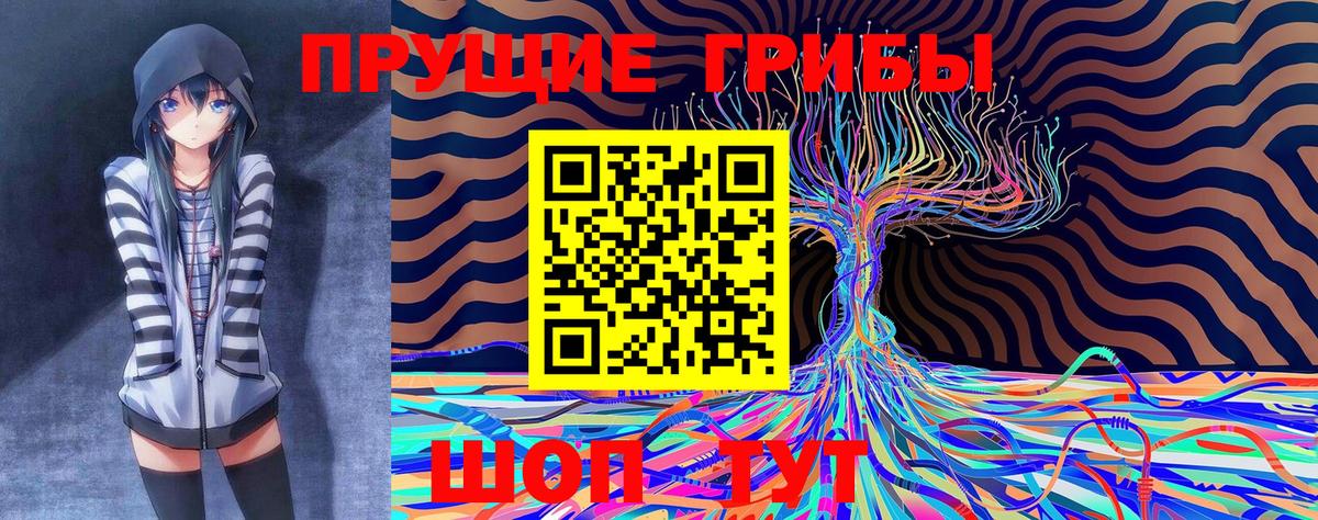 Псилоцибиновые грибы Cubensis  Псилоцибиновые грибы прущие грибы  купить закладку  Вход с VPN  Родники 