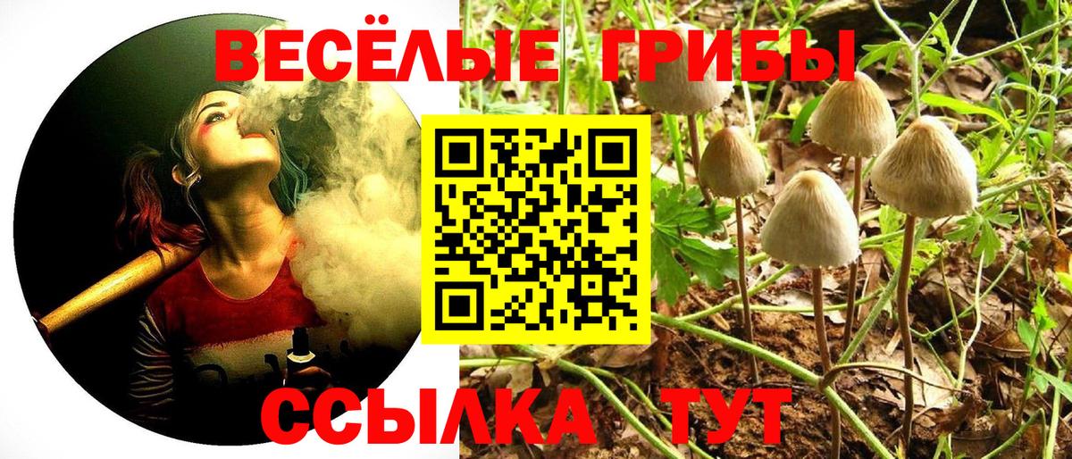 Галлюциногенные грибы мухоморы Родники